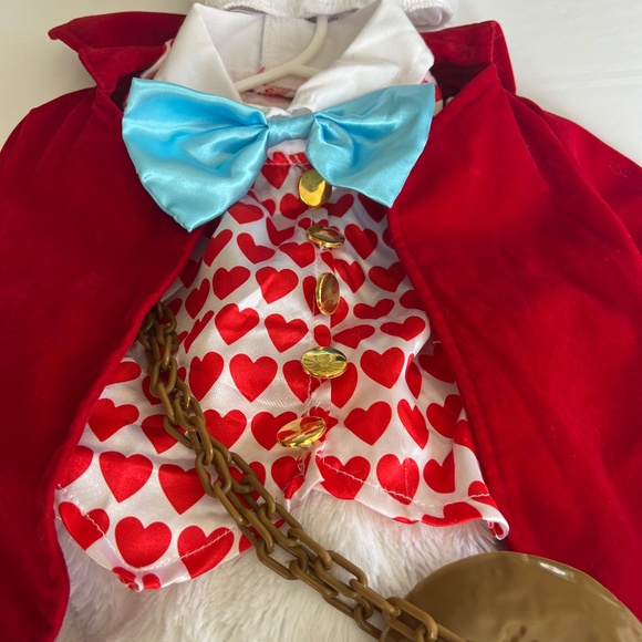 Alice in Wonderland rabbit costume 2T - Picture 2 of 7